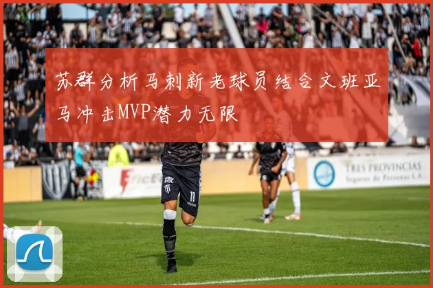 苏群分析马刺新老球员结合文班亚马冲击MVP潜力无限