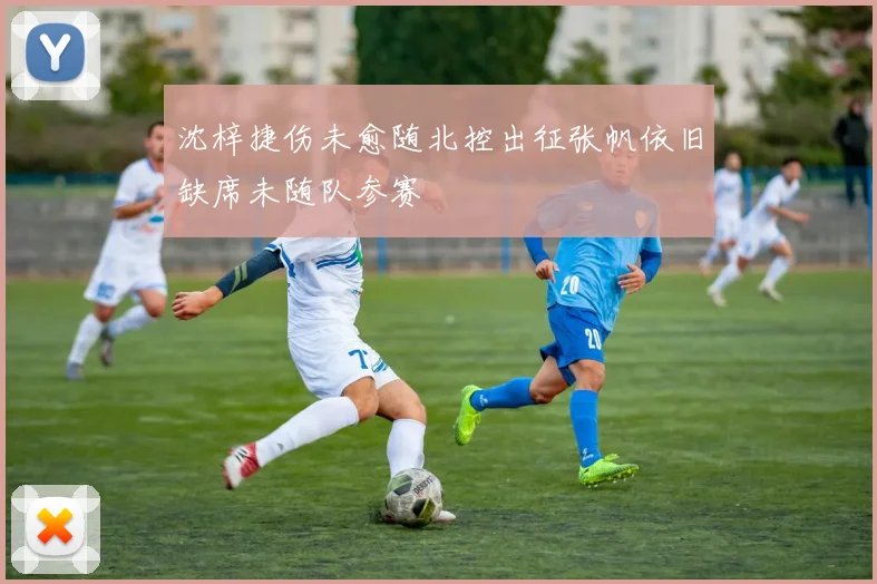 沈梓捷伤未愈随北控出征张帆依旧缺席未随队参赛