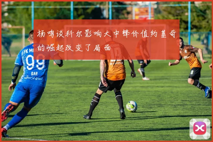 杨鸣谈科尔影响大中锋价值约基奇的崛起改变了局面