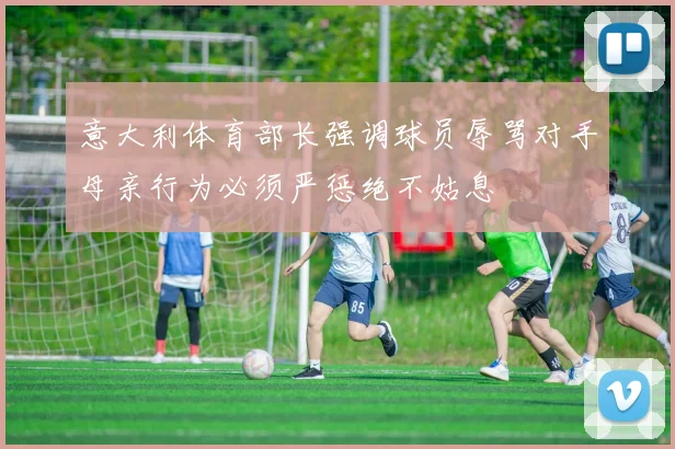 意大利体育部长强调球员辱骂对手母亲行为必须严惩绝不姑息