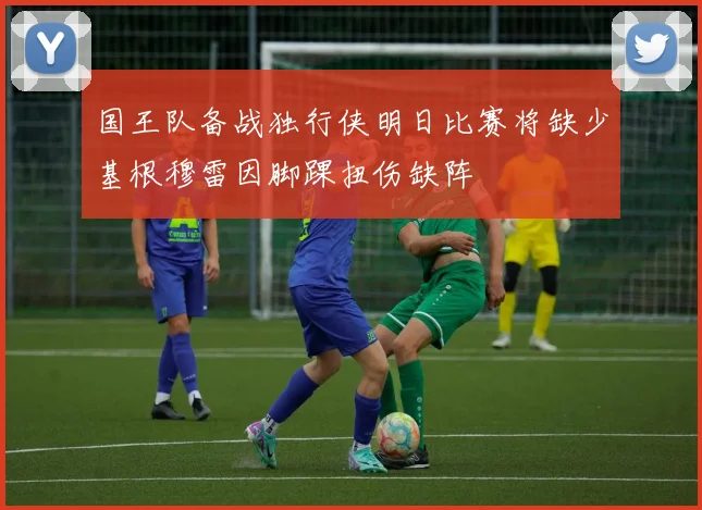 国王队备战独行侠明日比赛将缺少基根穆雷因脚踝扭伤缺阵