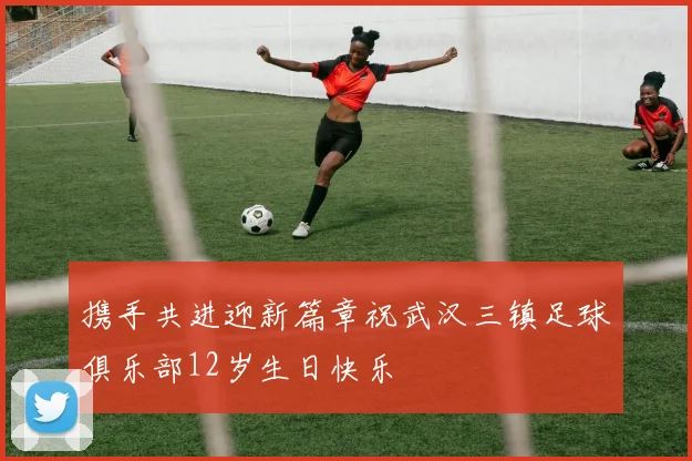 携手共进迎新篇章祝武汉三镇足球俱乐部12岁生日快乐